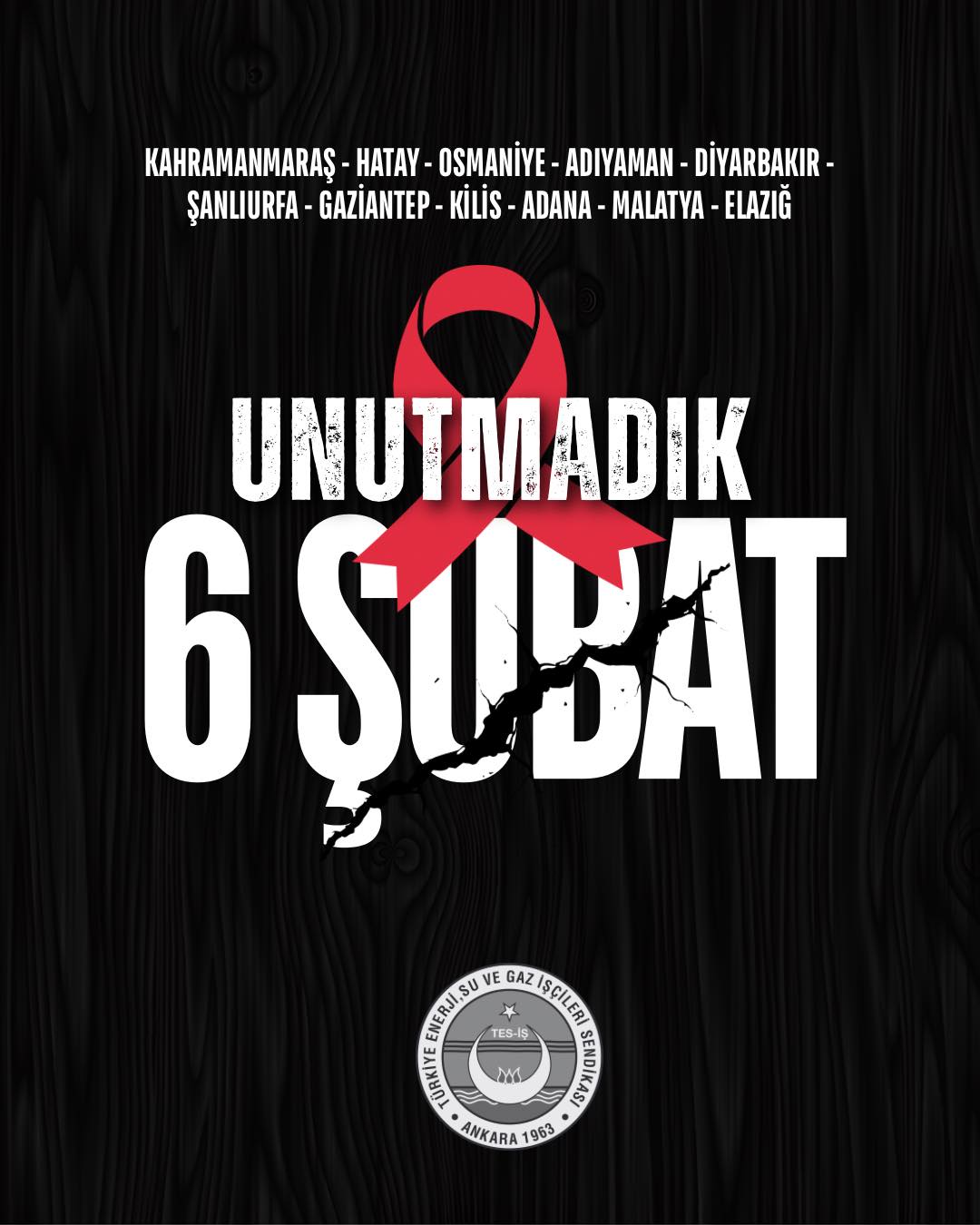 "6 ŞUBAT B&Uuml;Y&Uuml;K DEPREMİNİN ACILARINI Y&Uuml;REĞİMİZDE TAŞIYORUZ" 
